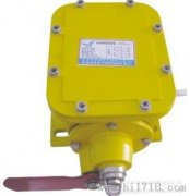 JHSL-A、JHSL-B縱向撕裂保護(hù)開(kāi)關(guān)廠家直銷(xiāo)